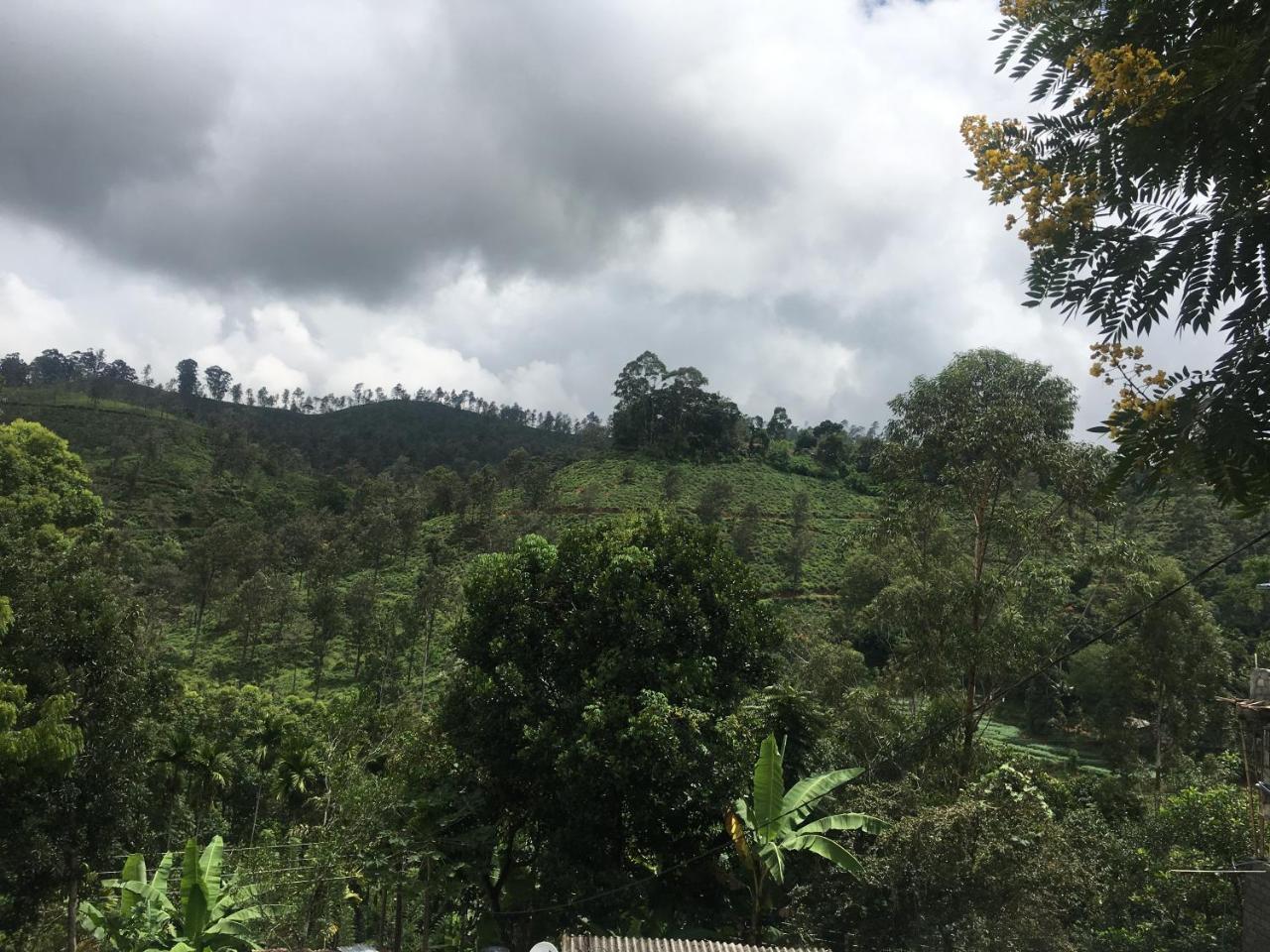 Ella Village Astoria מראה חיצוני תמונה